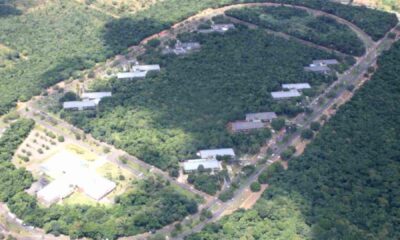 justica-anula-acordo-do-mpms-que-autorizava-desmatamento-do-parque-dos-poderes
