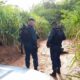 policia-prende-suspeitos-de-matarem-homem-espancado-em-cinturao-verde
