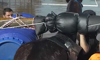 mais-de-10-mil-animais-ja-foram-resgatados-das-enchentes-do-rs