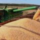 conab-realiza-leilao-para-contratacao-de-frete-para-transporte-de-5,5-mil-toneladas-de-milho