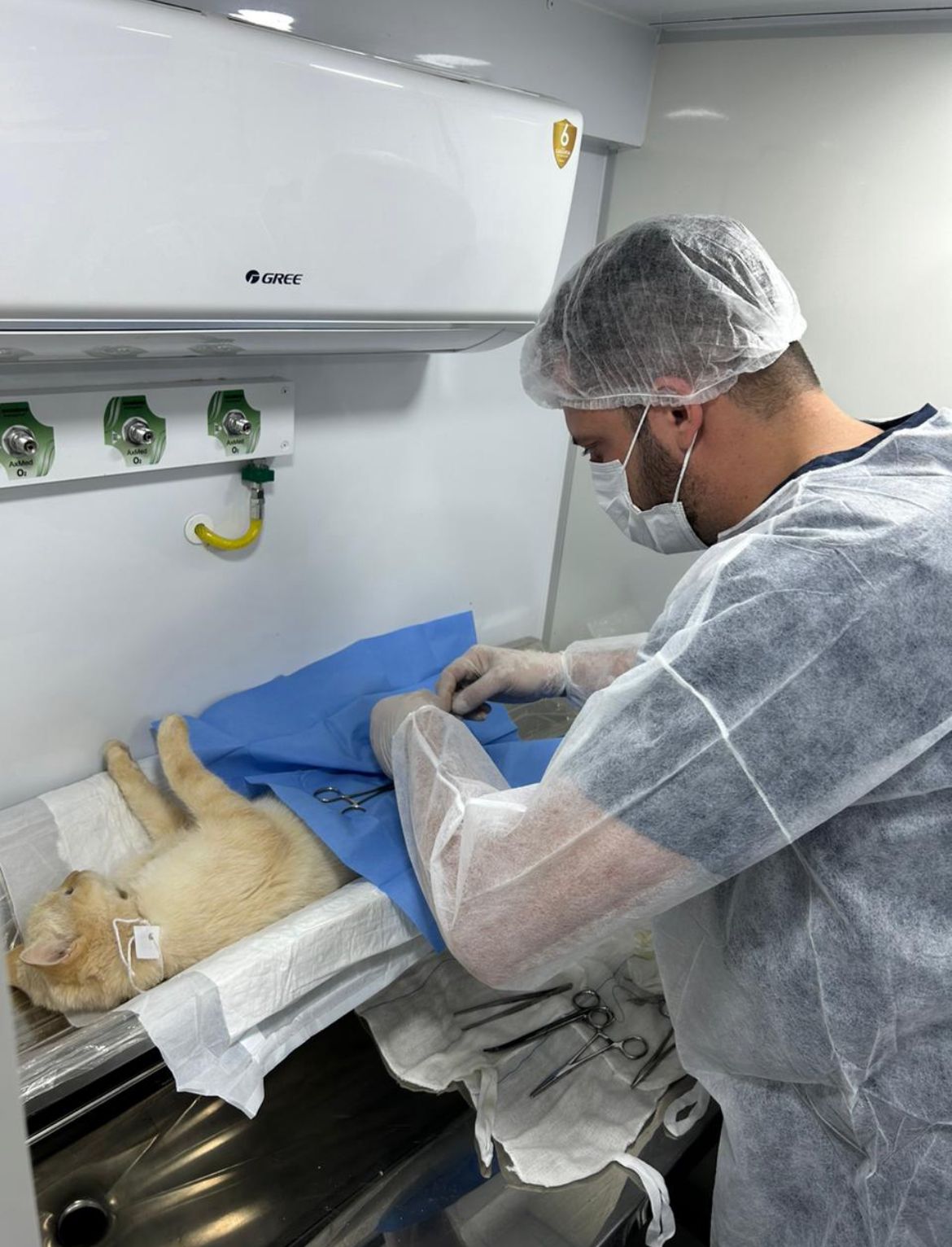 prefeitura-conclui-primeira-fase-do-programa-municipal-de-castracao-animal-|-portal-prefeitura-de-dourados