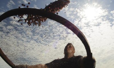 brasil-faz-acordo-com-china-que-pode-aumentar-exportacao-de-cafe