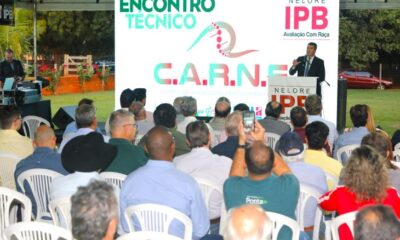 pecuaria-de-ms-busca-na-genetica-o-aumento-na-produtividade-e-qualidade-da-carne-–-folha-de-dourados-–-noticias-de-dourados-ms-e-regiao