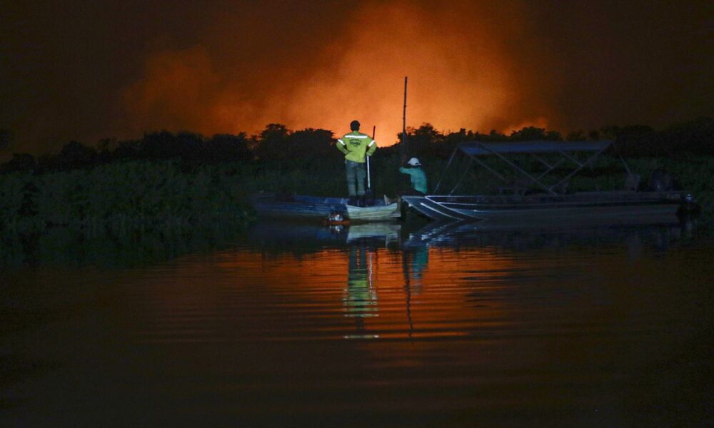 stf-da-prazo-para-congresso-aprovar-lei-de-protecao-do-pantanal