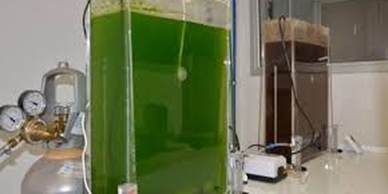 selo-amplia-presenca-da-agricultura-familiar-na-producao-de-biodiesel