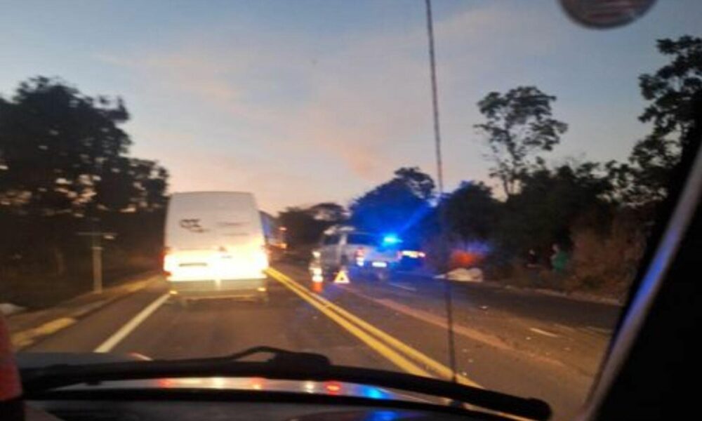 familia-sai-ilesa-de-acidente-apos-colisao-com-vacas-na-br-163