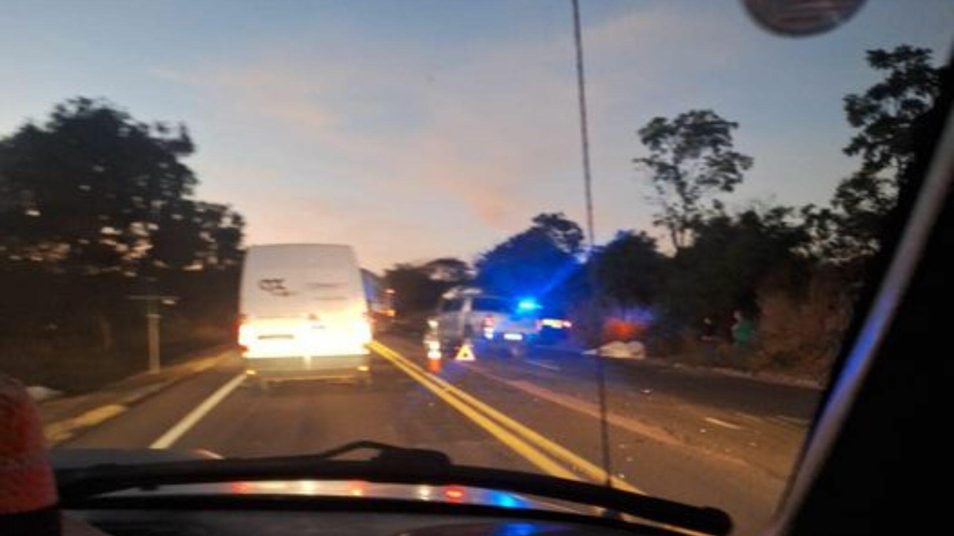 familia-sai-ilesa-de-acidente-apos-colisao-com-vacas-na-br-163