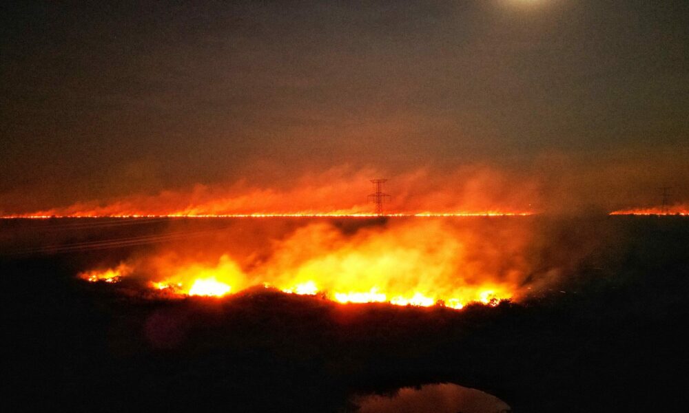 'cordao-de-fogo'-cerca-rodovia-e-causa-panico-entre-motoristas-na-br-262