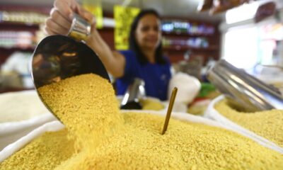 em-2023,-brasil-alcanca-recorde-de-100,7-milhoes-de-pessoas-ocupadas