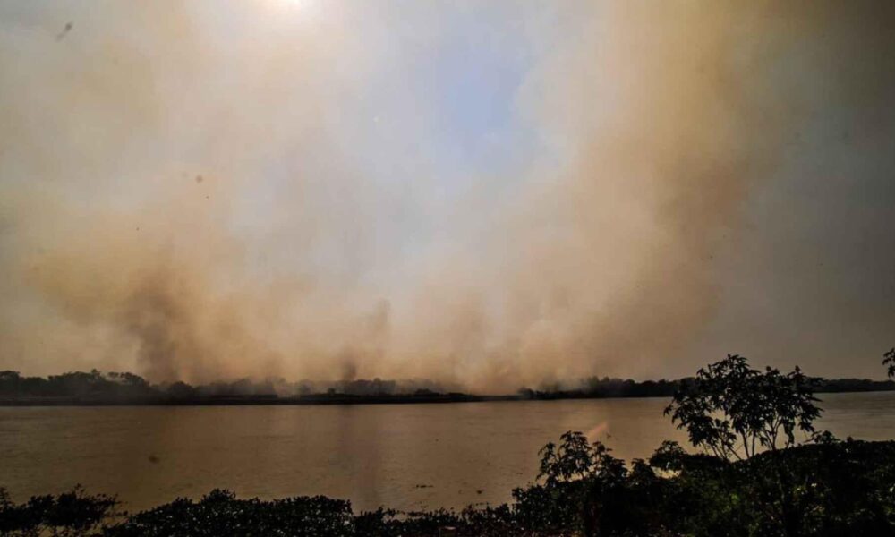 fogo-ja-destruiu-541-mil-hectares-de-pantanal,-equivalente-a-4-vezes-o-tamanho-da-cidade-de-sao-paulo