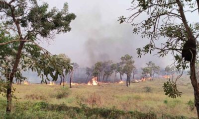monitoramento-identifica-18-pontos-onde-comecaram-incendios-que-devastam-o-pantanal-de-ms