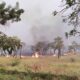 monitoramento-identifica-18-pontos-onde-comecaram-incendios-que-devastam-o-pantanal-de-ms