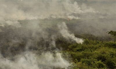 forca-nacional-reforca-equipe-de-combate-a-incendios-no-pantanal