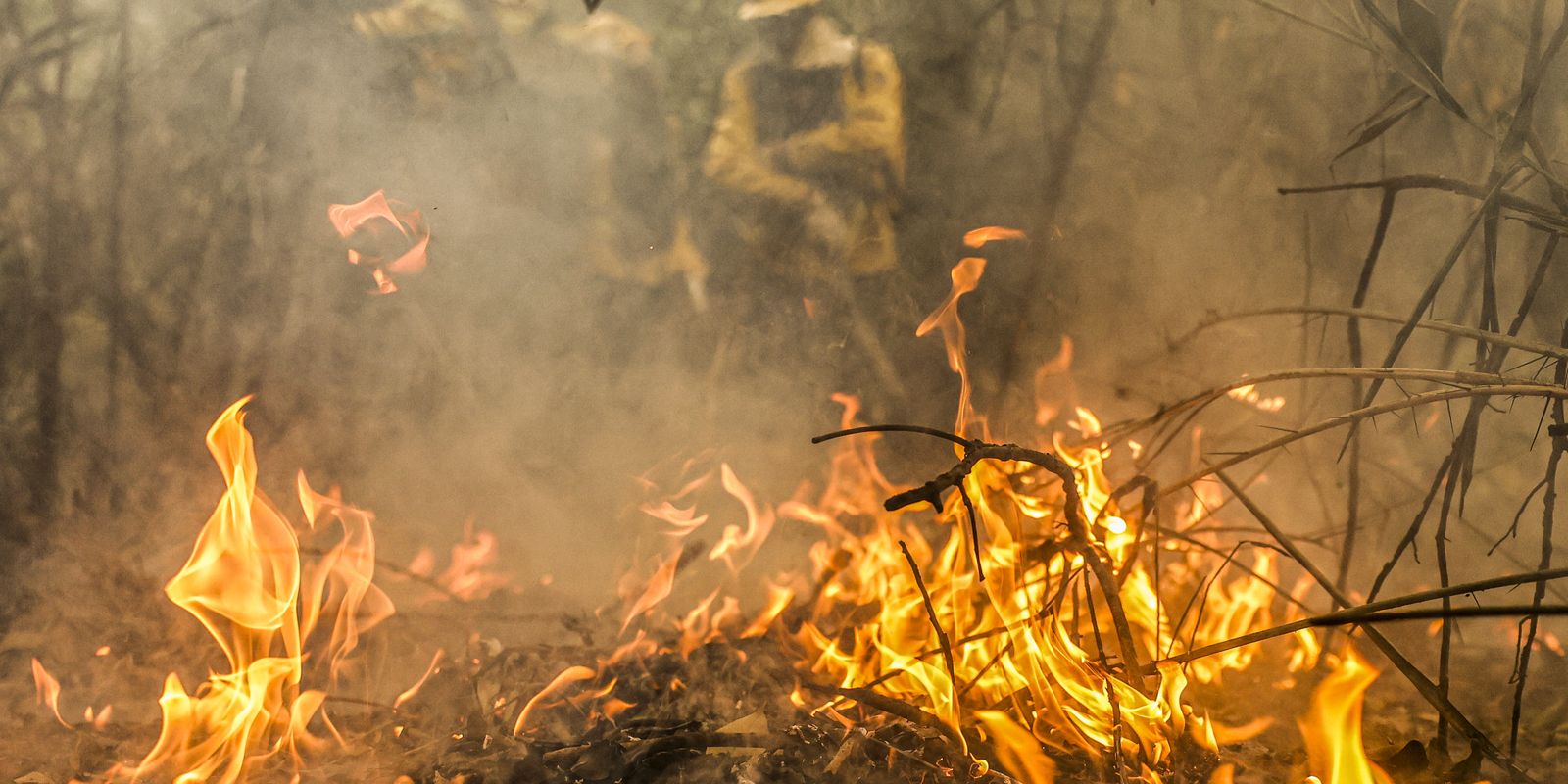 combate-a-incendios-pode-ser-feito-por-pilotos-e-avioes-estrangeiros 