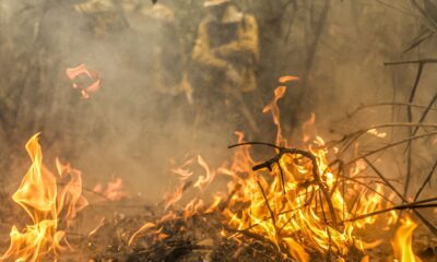 governo-destina-r$-137,6-milhoes-para-combate-a-queimadas-no-pantanal