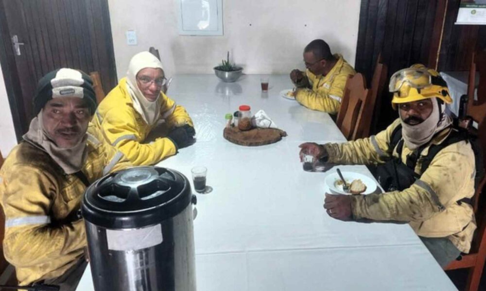 brigadistas-se-deparam-com-onca-pintada-durante-descanso-noturno-no-pantanal-de-mato-grosso