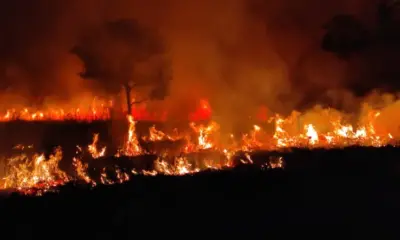 pantanal:-conheca-o-fenomeno-que-tem-atrapalhado-o-combate-ao-fogo-–-folha-de-dourados-–-noticias-de-dourados-ms-e-regiao