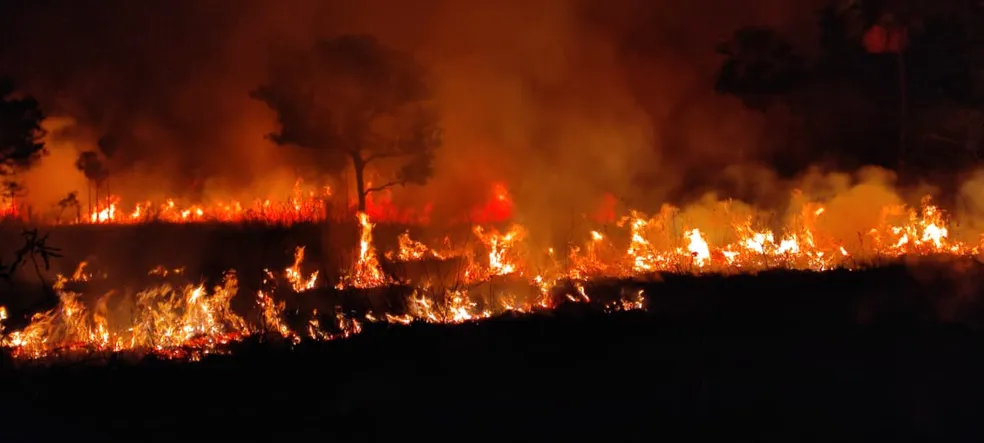 pantanal:-conheca-o-fenomeno-que-tem-atrapalhado-o-combate-ao-fogo-–-folha-de-dourados-–-noticias-de-dourados-ms-e-regiao