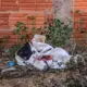 morto-ao-tentar-furtar-mercado-havia-sido-preso-no-sabado-por-furtar-casa-na-vila-marcos-roberto 