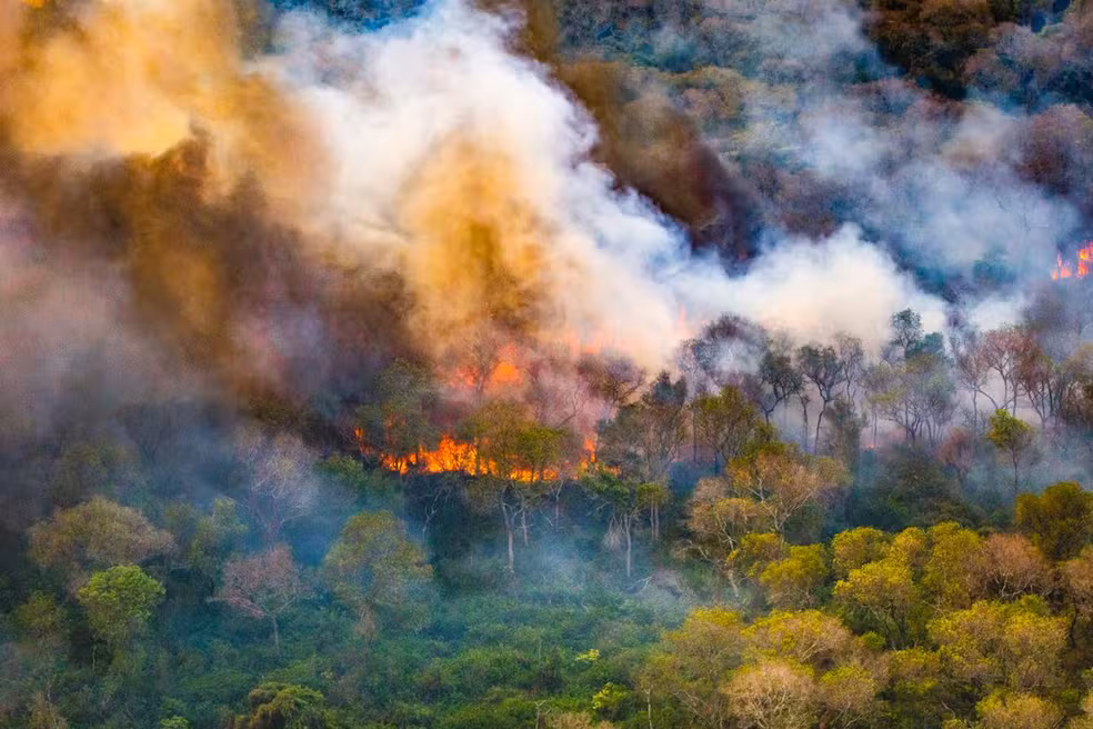 pantanal-bate-marca-de-800-mil-hectares-queimados-neste-ano-–-folha-de-dourados-–-noticias-de-dourados-ms-e-regiao