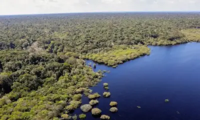 campo-grande-sediara-plenaria-do-bioma-pantanal-para-elaboracao-do-plano-clima-participativo