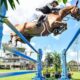 rodrigo-pessoa-e-stephen-barcha-conquistam-vaga-para-final-do-hipismo