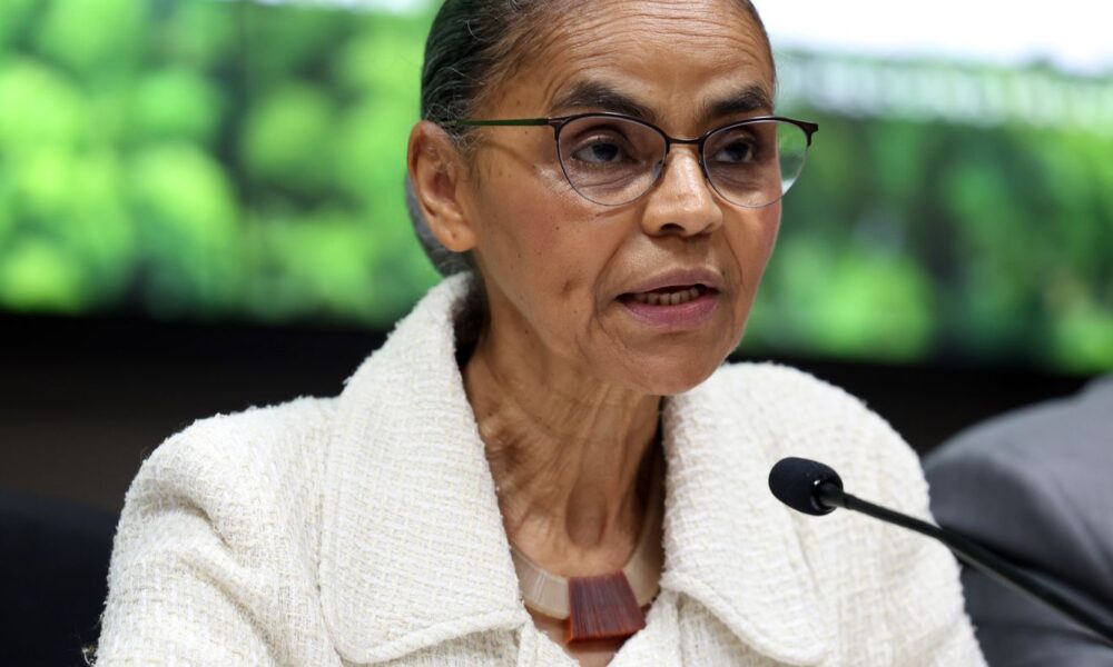 alertas-de-desmatamento-na-amazonia-caem-46%-em-um-ano