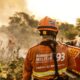 frente-fria-manteve-ambiente-favoravel-para-controle-de-incendios-no-pantanal,-avalia-corpo-de-bombeiros