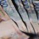 pesquisa-do-bc-avalia-percepcao-economica-por-empresas-nao-financeiras