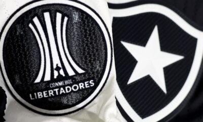 botafogo-ira-banir-torcedor-que-cometeu-racismo-contra-palmeiras