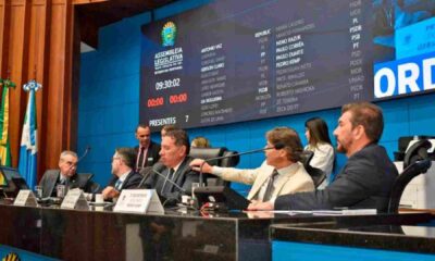 projeto-que-altera-lei-que-controla-o-comercio-e-transporte-de-mudas-e-sementes-sera-votado-na-alems