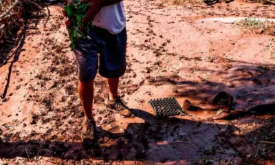 rompimento-de-barragem-em-condominio-de-luxo-afetou-5-familias,-diz-defesa-civil
