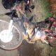 motociclista-morre-1-dia-apos-batida-de-frente-com-carro-em-rodovia-de-ivinhema