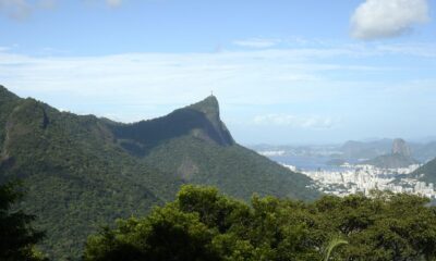 numero-de-incendios-florestais-no-rio-ja-aumentou-85%-neste-ano