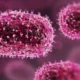 casos-de-mpox-no-brasil-este-ano-ja-superam-o-total-de-2023-–-folha-de-dourados-–-noticias-de-dourados-ms-e-regiao