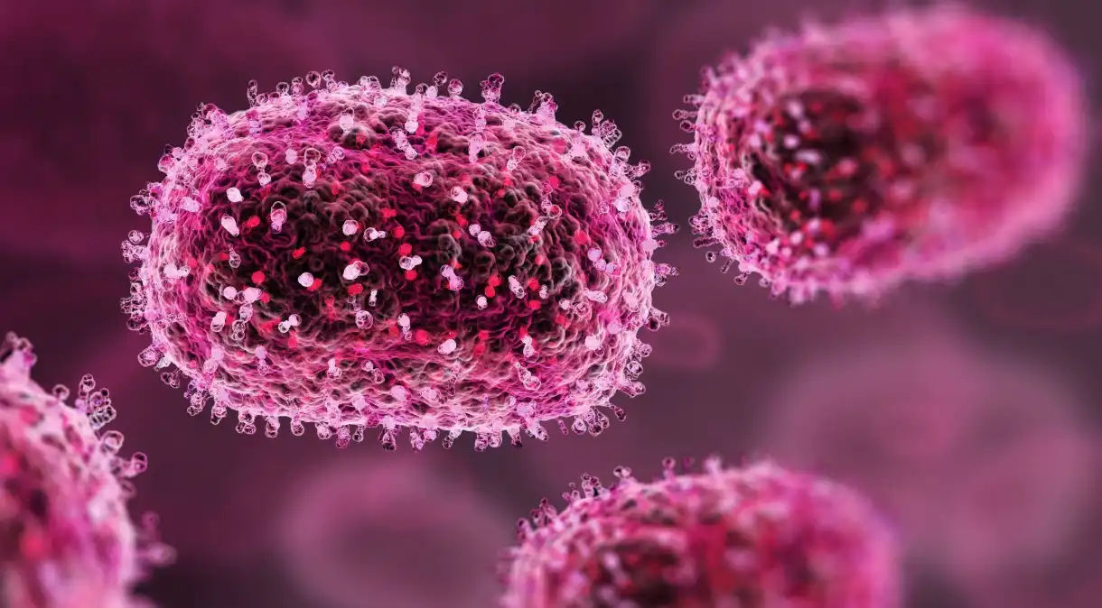 casos-de-mpox-no-brasil-este-ano-ja-superam-o-total-de-2023-–-folha-de-dourados-–-noticias-de-dourados-ms-e-regiao