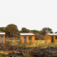 moradores-amargam-prejuizos-causados-por-incendio-que-atingiu-quatro-bairros-de-campo-grande