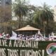 movimentos-realizam-manifestacoes-em-defesa-da-amazonia