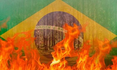 ribeiro-arce:-'incendio,-fumaca,-pouca-acao-governamental-e-sociedade-calada'-–-folha-de-dourados-–-noticias-de-dourados-ms-e-regiao