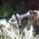 acidente-deixa-um-morto-e-outro-gravemente-ferido-na-br-262-em-ms