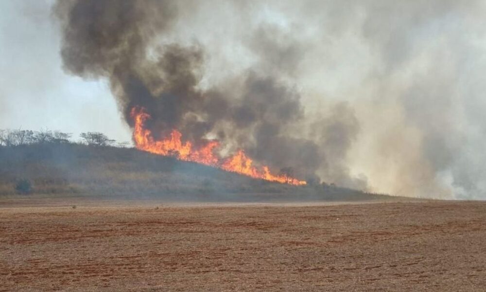 brigadista-morre-durante-combate-a-incendio-em-sao-paulo