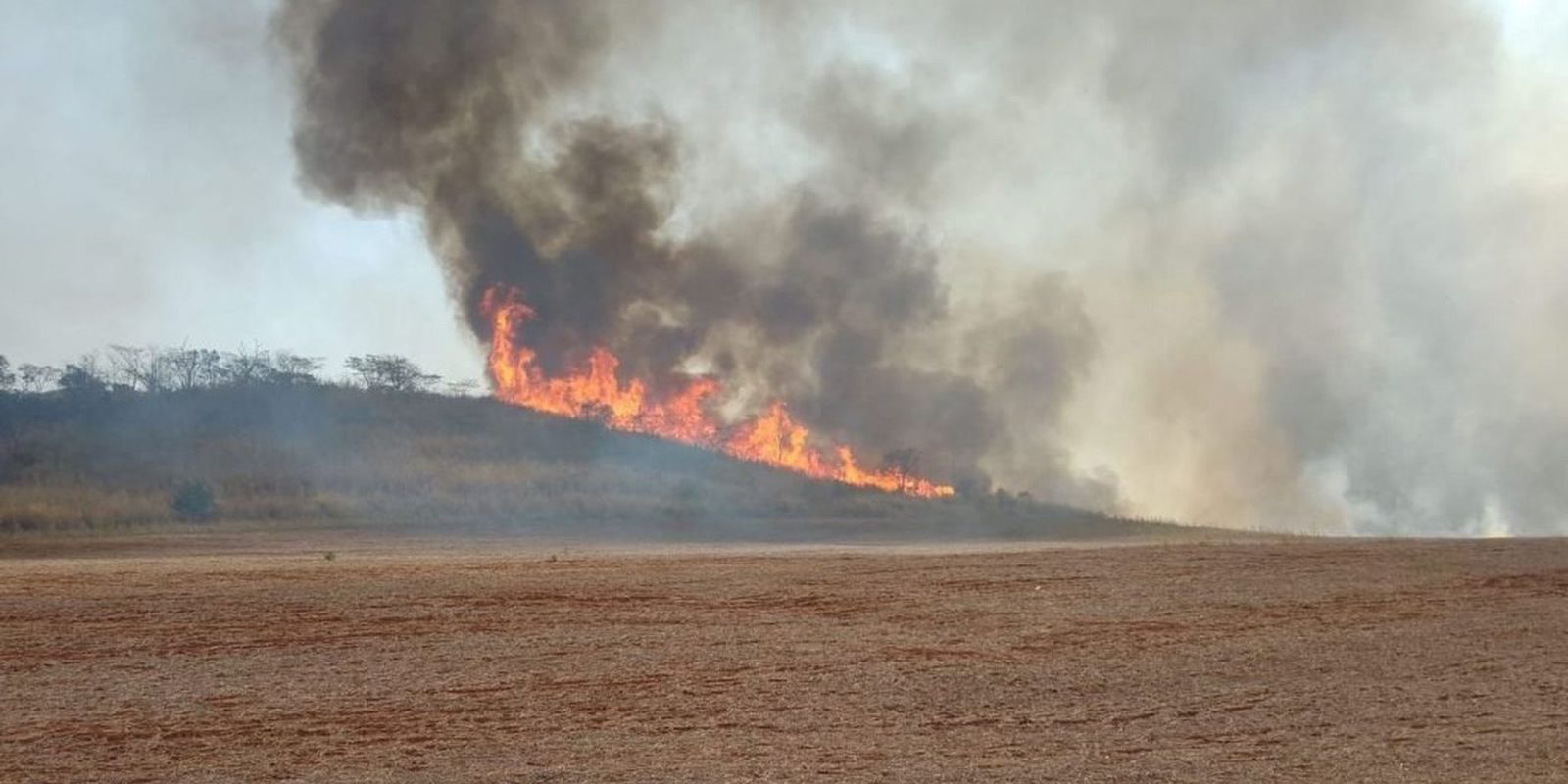 brigadista-morre-durante-combate-a-incendio-em-sao-paulo