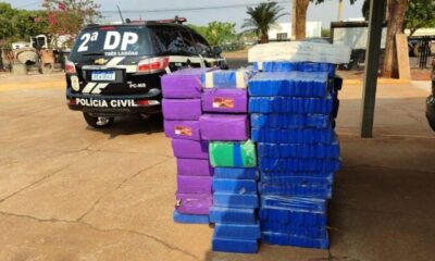 policia-incinera-duas-toneladas-de-drogas-em-tres-lagoas