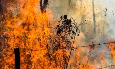 dois-sao-presos-em-flagrante-por-incendio-em-vegetacao-no-nova-lima