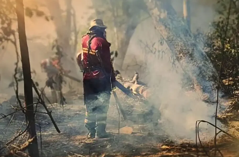 chuva-contribui-para-extincao-de-incendios-florestais,-mas-equipes-continuam-mobilizadas-–-folha-de-dourados-–-noticias-de-dourados-ms-e-regiao