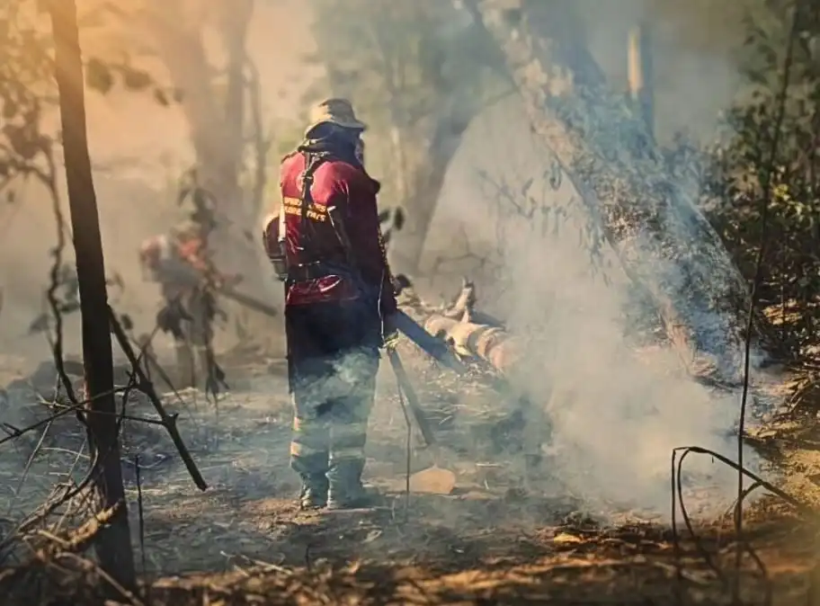 chuva-contribui-para-extincao-de-incendios-florestais,-mas-equipes-continuam-mobilizadas-–-folha-de-dourados-–-noticias-de-dourados-ms-e-regiao