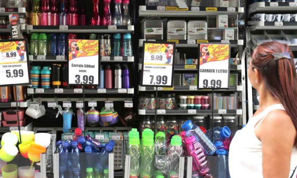 saiba-mais-sobre-programa-que-oferece-credito-para-pequenos-negocios