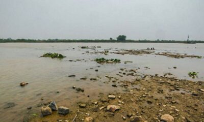 rio-paraguai-registra-minima-historica-em-ano-mais-seco-no-pantanal