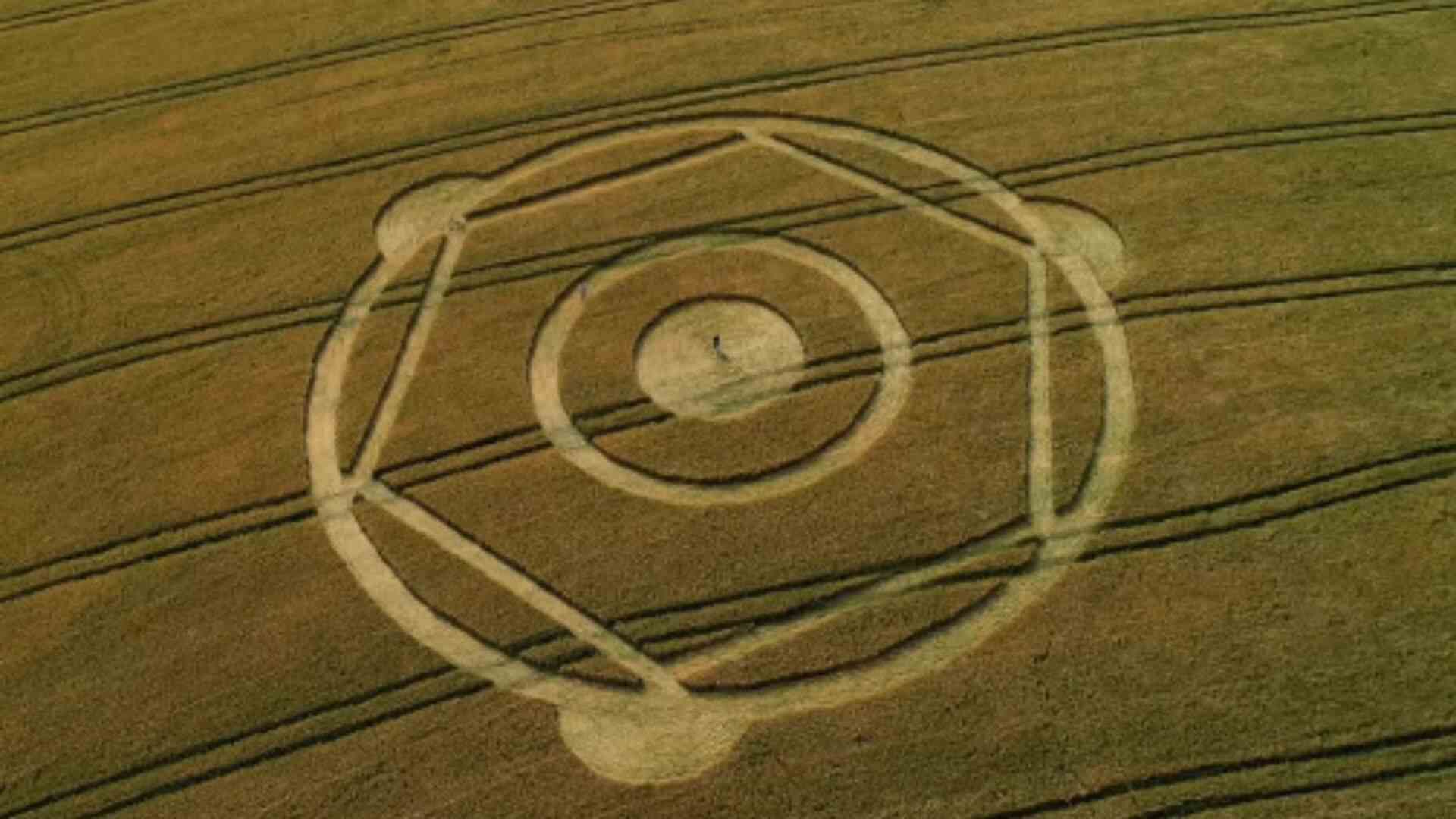 sinais-alienigenas?-marcas-voltam-a-aparecer-em-plantacao-de-santa-catarina-e-reacende-misterio