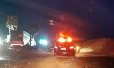 trabalhadores-encontram-ossada-em-canavial-durante-colheita-em-rio-brilhante